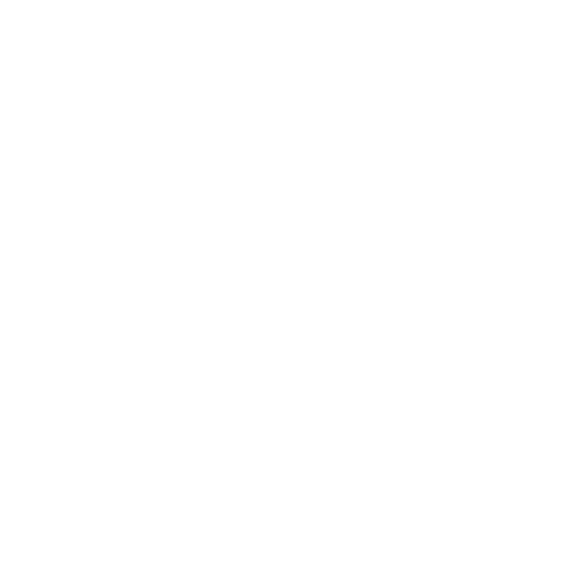 Key icon